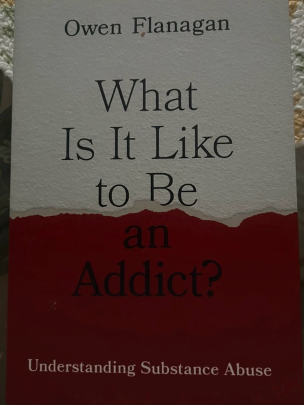 'What Is It Like to Be an Addict?' Book